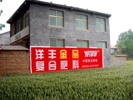 富平如何让墙体广告展现最大化效果